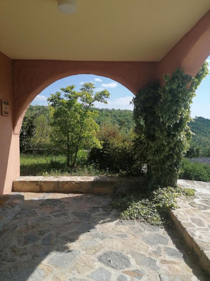 Appartement Apartma Cedole Chabby Chick Piran