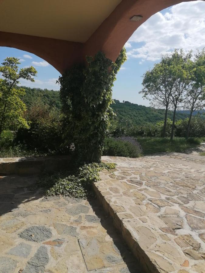 Apartma Cedole Chabby Chick Piran